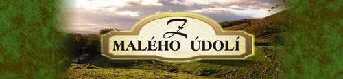 Z malého údolí