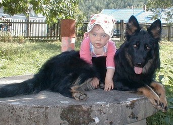 Bony z Horské samoty